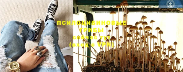 дживик Осташков