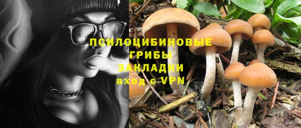 МДПВ Остров