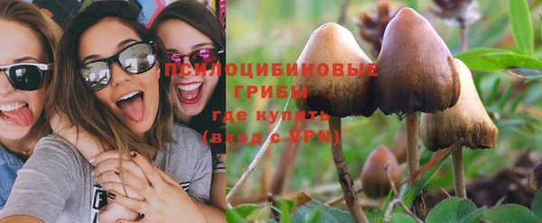 МДПВ Остров