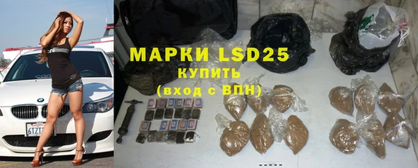 дживик Осташков
