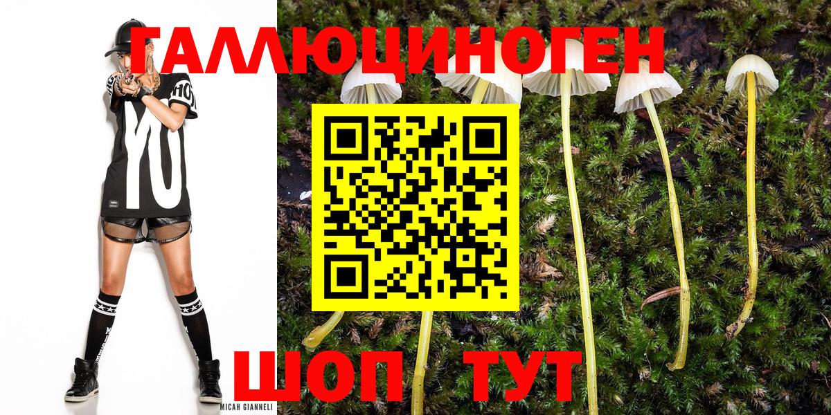 Псилоцибиновые грибы Cubensis Калуга