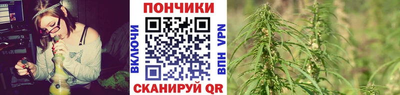 МАРИХУАНА конопля  Калуга 