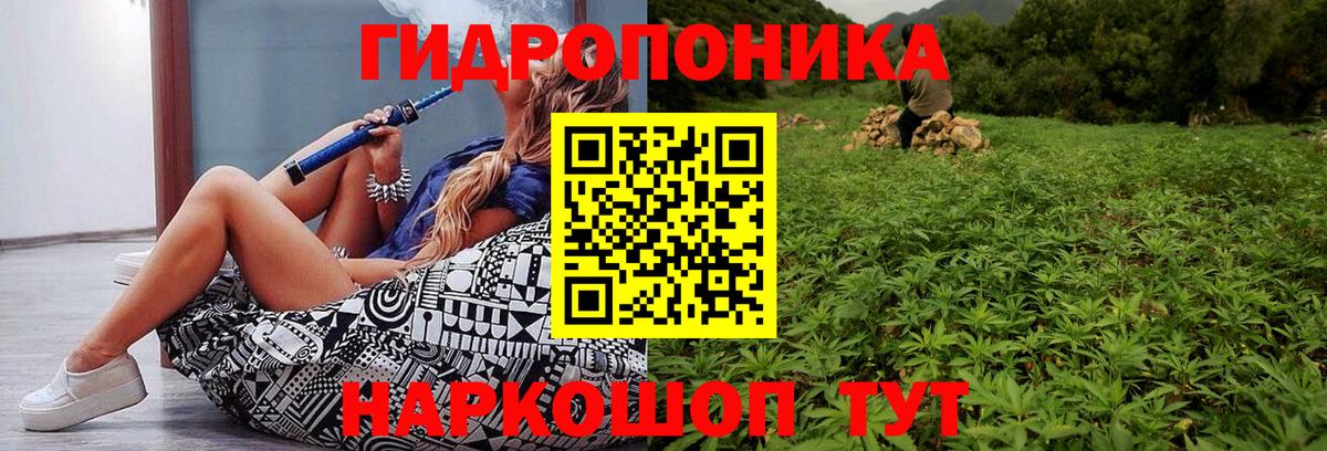 Бошки Шишки Amnesia  Каннабис конопля  Вход с VPN  Калуга  Бошки Шишки SATIVA & INDICA 